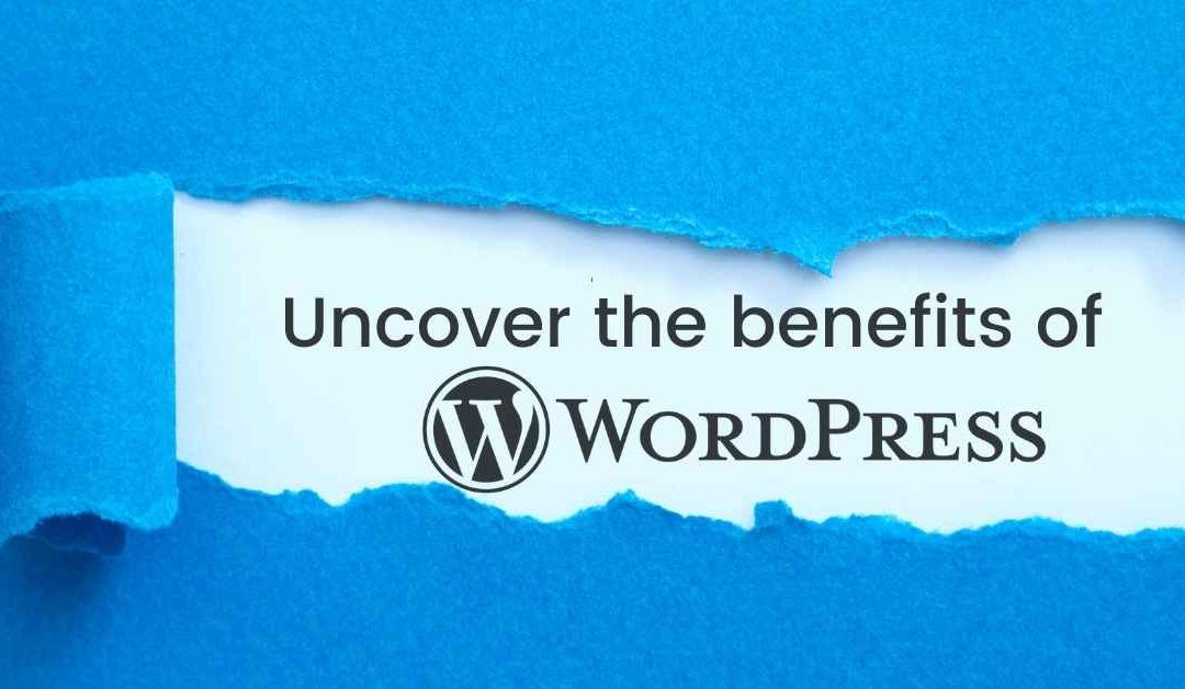 Why choose WordPress – Uncover the benefits